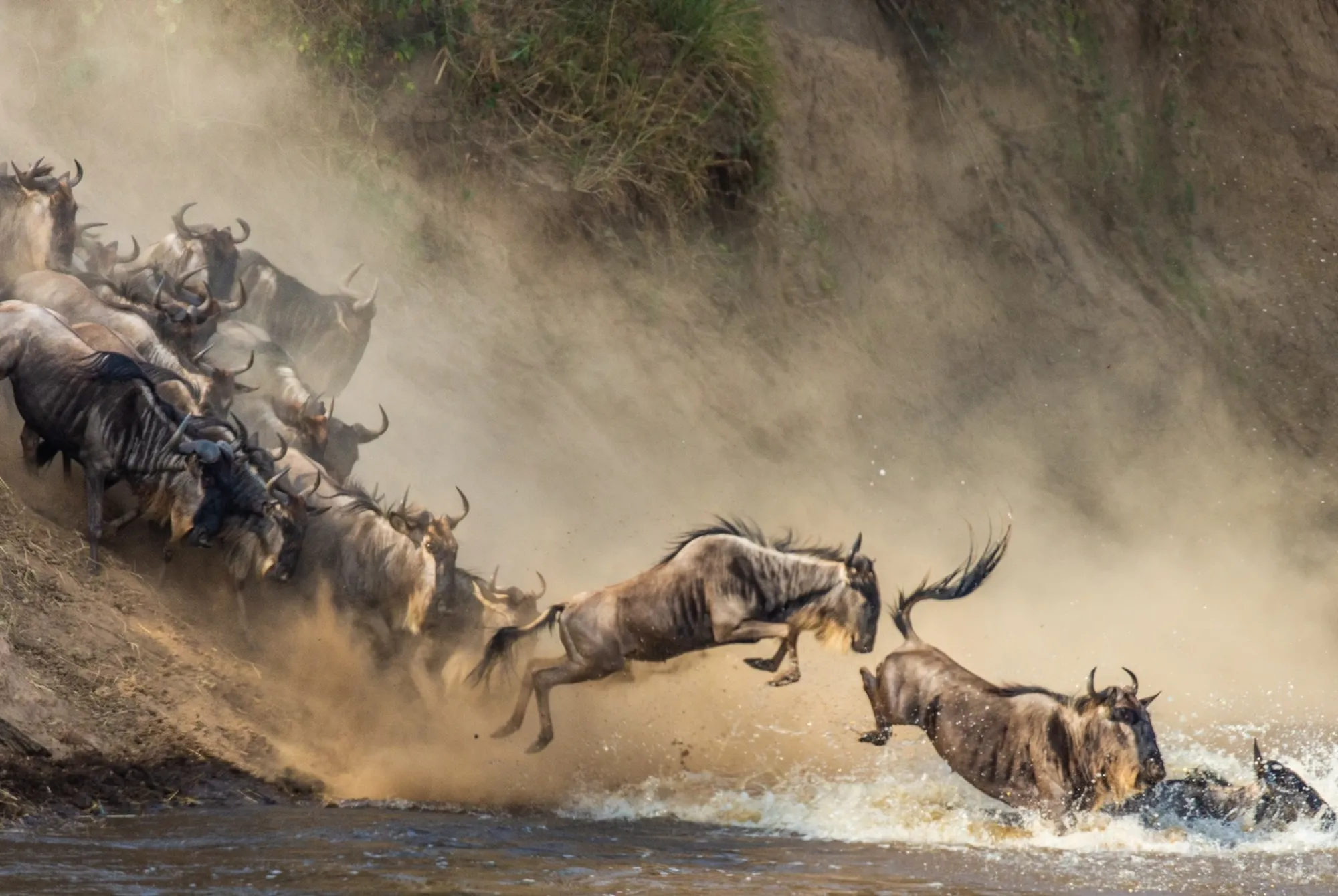 Maasai Mara Migration Safari