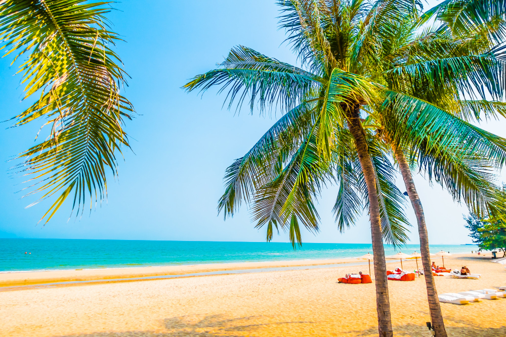 Coastal Escapes